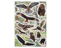 Sticker DECOR 'Oiseaux à l'aquarelle'