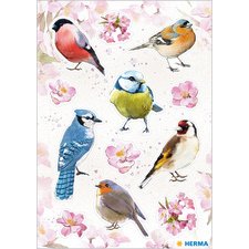 Sticker DECOR 'Oiseaux à l'aquarelle'