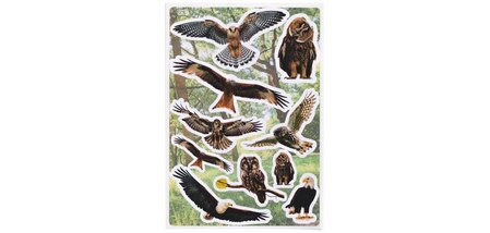 Sticker DECOR 'Oiseaux à l'aquarelle'