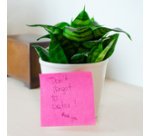 Note adhésive 'NEON', 75 x 75mm, uni, jaune fluo