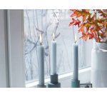 MOLL Film d'isolation THERMO COVER, 1,7 m x 1,5 m