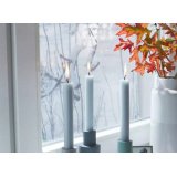 MOLL Film d'isolation THERMO COVER, 1,7 m x 1,5 m