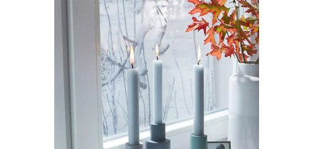 MOLL Film d'isolation THERMO COVER, 1,7 m x 1,5 m