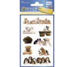 ZDesign KIDS Sticker 'chatons', coloré