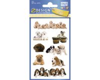ZDesign KIDS Sticker 'chatons', coloré