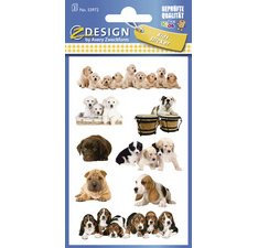 ZDesign KIDS Sticker 'chatons', coloré