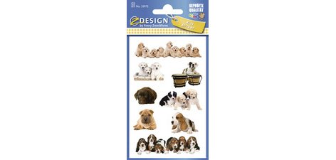 ZDesign KIDS Sticker 'chatons', coloré