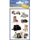 ZDesign KIDS Sticker 'chatons', coloré