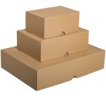 Smartboxpro Carton d'expédition maxi, (L)240x(P)160x(H)50 mm