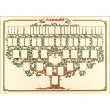 Arbre généalogique 'arbre esquissé', 70 x 50 cm