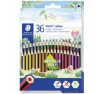 Crayon de couleur Noris Colour, étui carton de 36