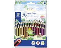 Crayon de couleur Noris Colour - Etui carton de 36
