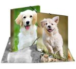 chemise élastique 'chiens', en PP, A3,