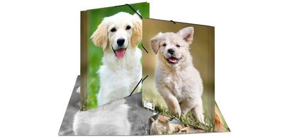 chemise élastique 'chiens', en PP, A3,