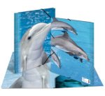 chemise élastique 'dauphin', transparent, en PP, A3,