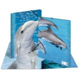 chemise élastique 'dauphin', transparent, en PP, A3,