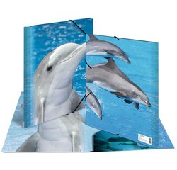 chemise élastique 'dauphin', transparent, en PP, A3,