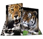 Chemise à élastique 'Leopard', transparent, en PP,