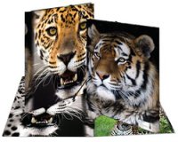 Chemise à élastique 'Leopard', transparent, en PP,