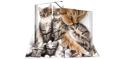 chemise élastique 'chats', transparent, en PP, A4,