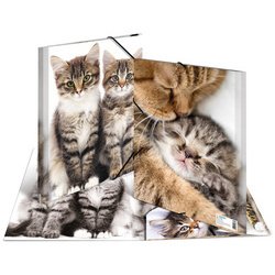 chemise élastique 'chats', transparent, en PP, A4,