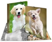 Map met elastieken 'Honden' transparant in PP A4