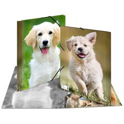 Map met elastieken 'Honden' transparant in PP A4