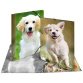 Map met elastieken 'Honden' transparant in PP A4