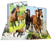 Chemise élastique 'chevaux', transparent, en PP,