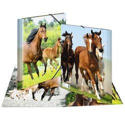 Chemise élastique 'chevaux', transparent, en PP, A4