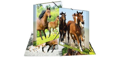Elastic folder 'horses', transparent, in PP,