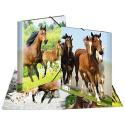 Map met elastieken 'paarden' transparant in PP
