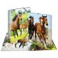 Map met elastieken 'paarden' transparant in PP