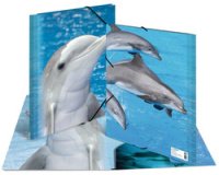 Chemise élastique 'dauphin', transparent, en PP, A4