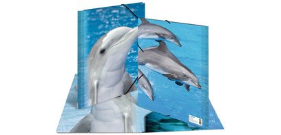 Elastic file 'dolphin', transparent, in PP, A4