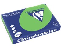 Papier clairefontaine multifonction laser couleur   trophe a3 160g vert parfaite  opacite paquet 250 feuilles