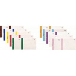 Bloc vendeur à bande couleur 100 feuillets double numérotage - Format 6 ,6x13,5 cm - Couleurs assorties
