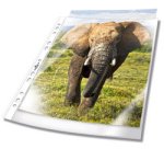 Pochette perforée A4 polypropylène lisse 5/100e - Boîte de 10