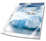 Pochette perforée PREMIUM, A4, PP, 0,08 mm