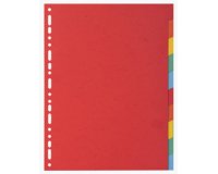 Div Forever Divider A4+ 220g 12P Vivid - Assorted colours