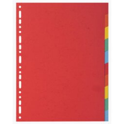 Div Forever Divider A4+ 220g 12P Vivid - Assorted colours