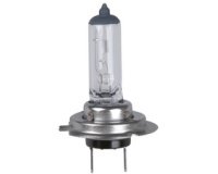 Ampoule halogène H7 pour phare, 12 V, 55 watts