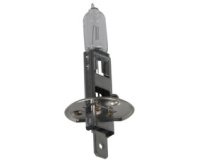 Ampoule halogène H1 pour projecteur principal, 12 V