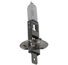 Ampoule halogène H1 pour projecteur principal, 12 V