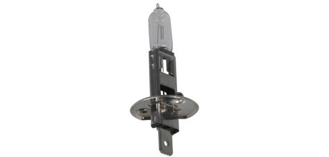 Ampoule halogène H1 pour projecteur principal, 12 V