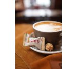 Ferrero Mini biscuits GIOTTO - Carton de 120