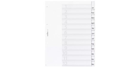 Plastic dividers, A4, 12 tabs, transparent.