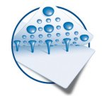 Etiquette de prix SPECIAL, 35,6 x 16,9 mm, blanc