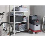 Chariot 'rolf', capacité de charge: 300 kg, rouge