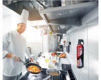 REINOLD MAX Spray extincteur 'STOP FIRE', 3 x 750 ml